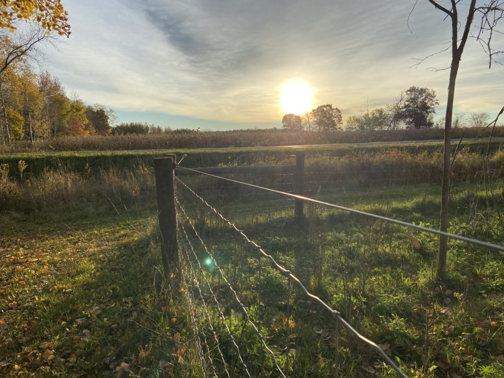 goat fence with sun setting