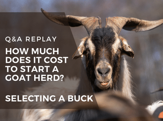Live QA how much does it cost to start a goat herd selecting a buck