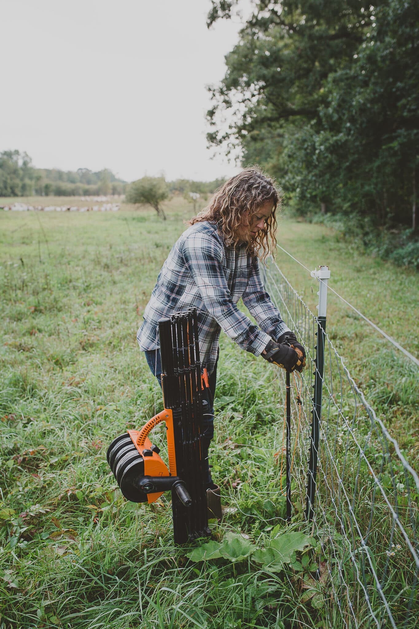 Three portable goat fencing options Grazing with Leslie