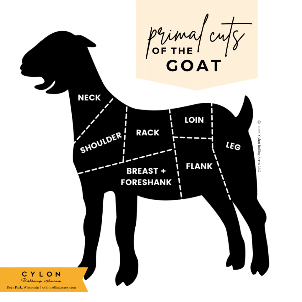 Diagram of primal cuts of goat