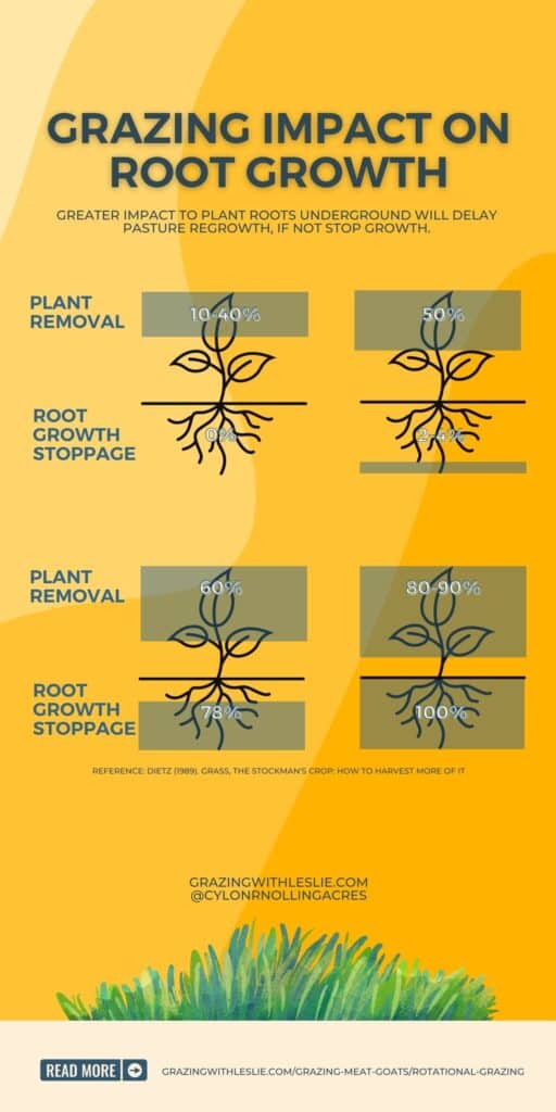 Grazing impact on root growth infographic, showing plant removal vs. root growth stoppage