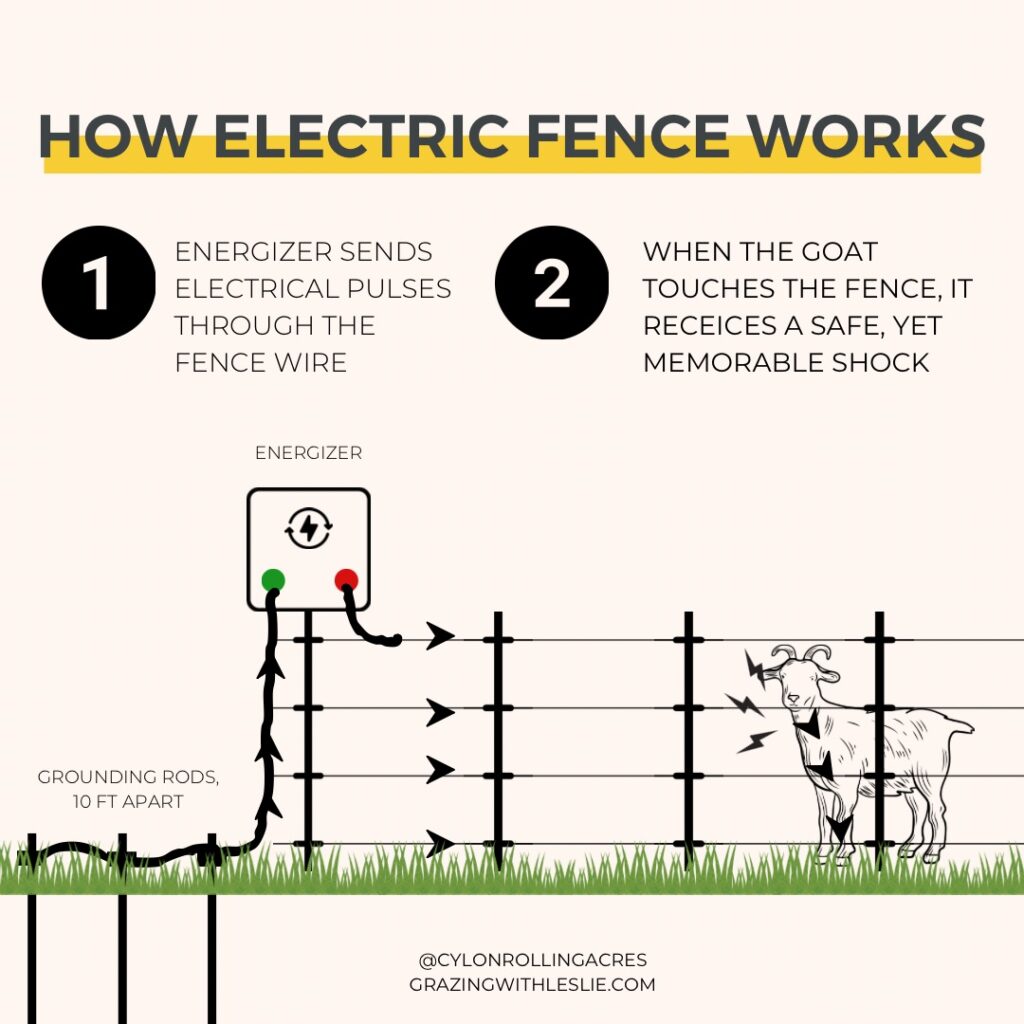 Infographic on how electric fence works
