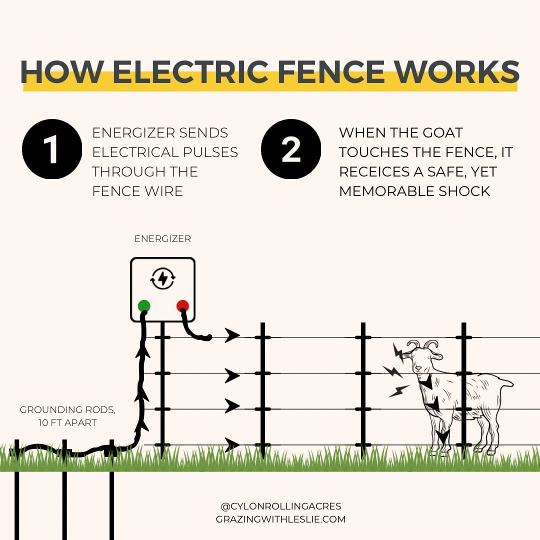 Electric Fence Chargers How It Works Solar Option Setup Grounding electric-fence-chargers-how-it-works-solar-option-setup-grounding