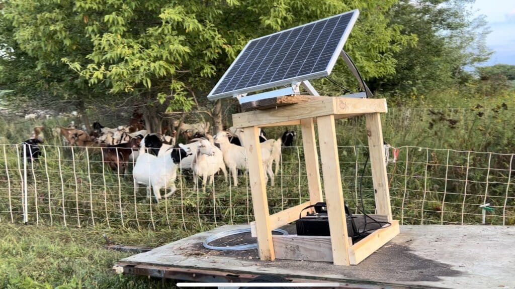 Electric fence chargers: How it works, solar option, setup + grounding -  Grazing with Leslie