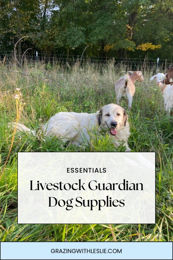 Photo with white dog in pasture with goats with text overlay livestock guardian dog supplies