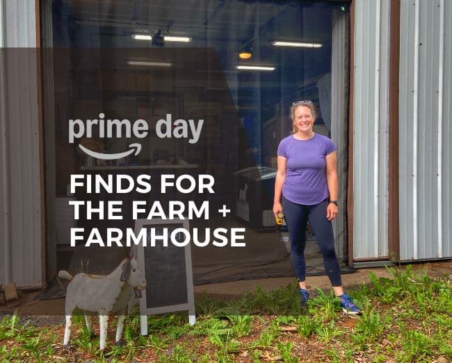 PRIME DAY FINDS FOR THE FARM AND FARMHOUSE WITH FARMER STANDING OUTSIDE