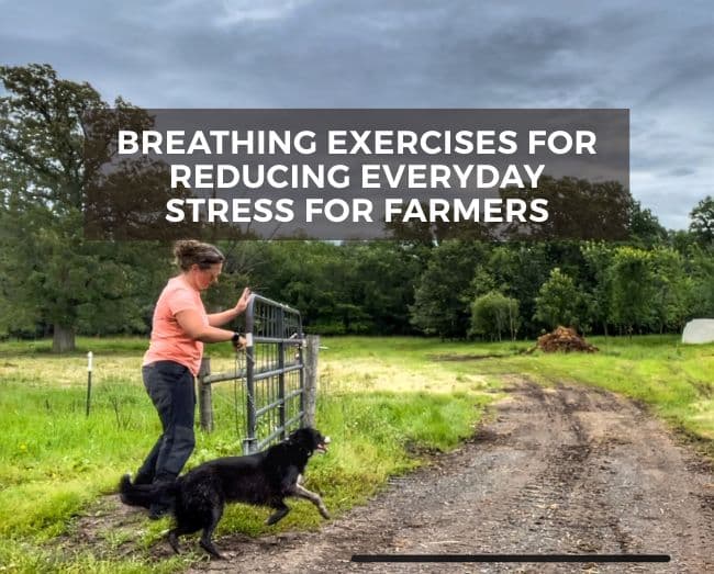 farmer closing a gate with a dog near by