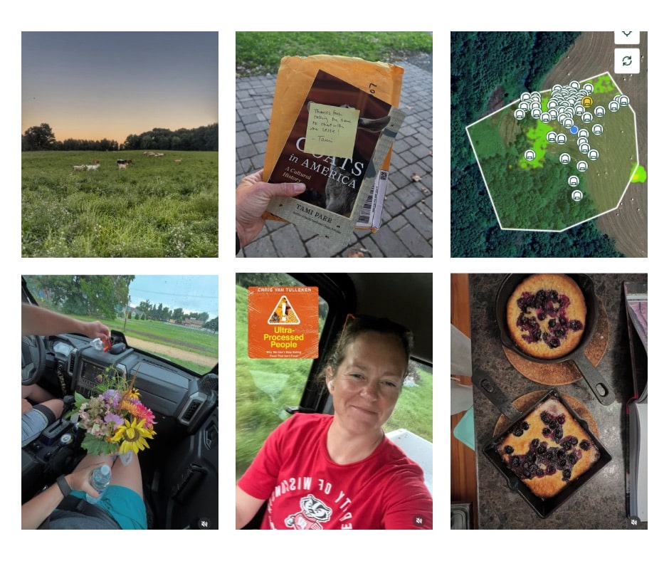 photo collage of the items mentioned in the blog post - all farm and grazing related