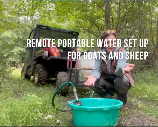 farmer in front of a portable water wagon for goats