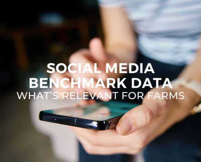 person holding a phone