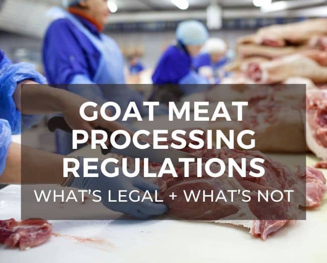 people at table cutting meat