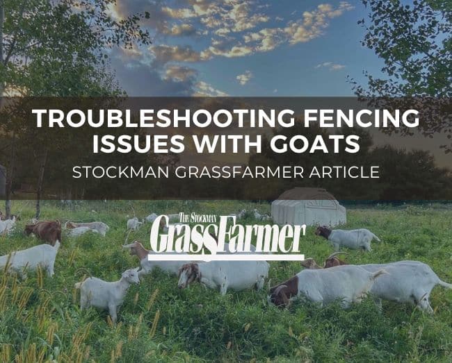 goats grazing on pasture with the blog title overlayed