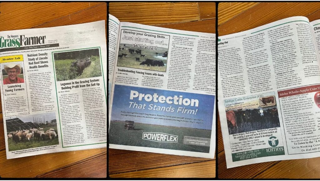 Three photos of magazine articles.