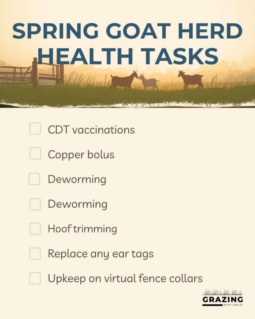 Infographic check list of the herd health tasks listed above in the text.