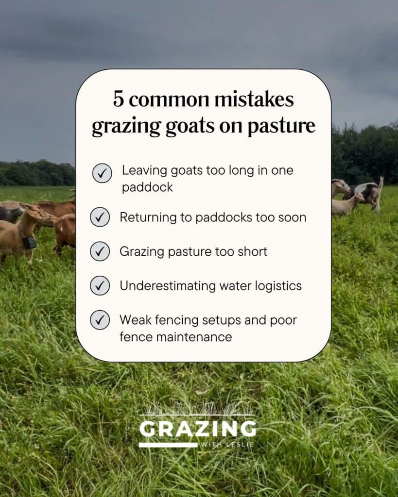 infographic with goats grazing on pasture in the background. Lists 5 common mistakes grazing goats on pasture summarizing blog article