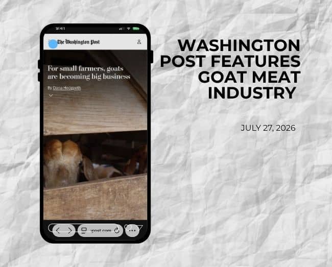 iphone view with Washington Post article view with a goat looking through a fence